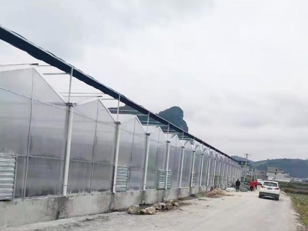 溫室大棚為什么要選用PC陽(yáng)光板做覆蓋材料?
